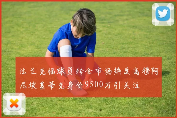 法兰克福球员转会市场热度高穆阿尼埃基蒂克身价9500万引关注