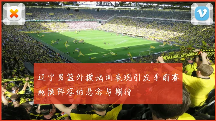 辽宁男篮外援试训表现引发季前赛轮换阵容的悬念与期待