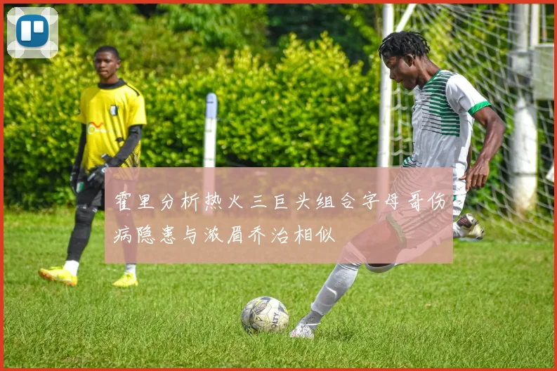 霍里分析热火三巨头组合字母哥伤病隐患与浓眉乔治相似